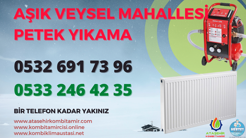 Aşıkveysel Mahallesi Petek Yıkama - 0533 246 42 35