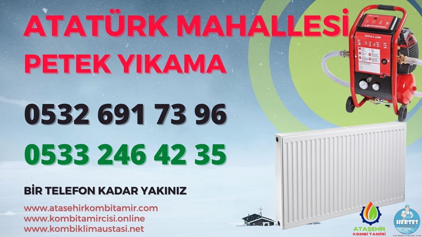 Atatürk Mahallesi Petek Yıkama - 0533 246 42 35