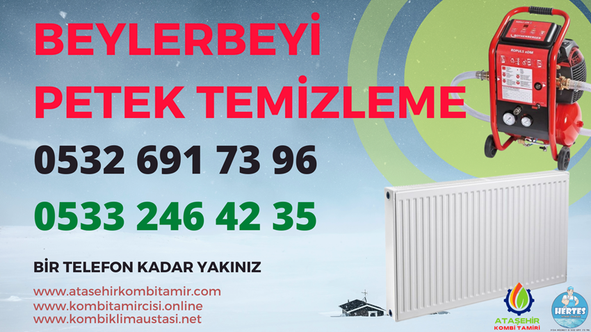 Beylerbeyi Petek Yıkama - 0 533 246 42 35