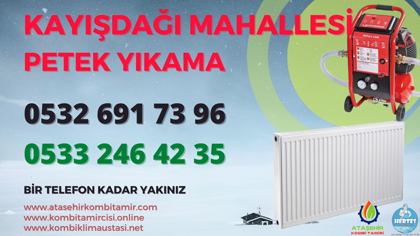 Kayışdağı Mahallesi Petek Yıkama - 0533 246 42 35