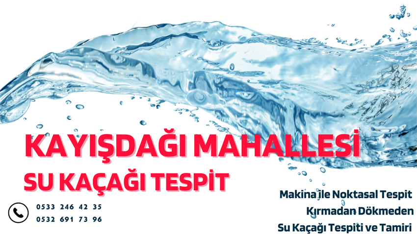 Kayışdağı Mahallesi Su Kaçağı Tespit - 0533 246 42 35