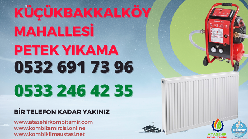 Küçükbakkalköy Mahallesi Petek Yıkama - 0533 246 42 35