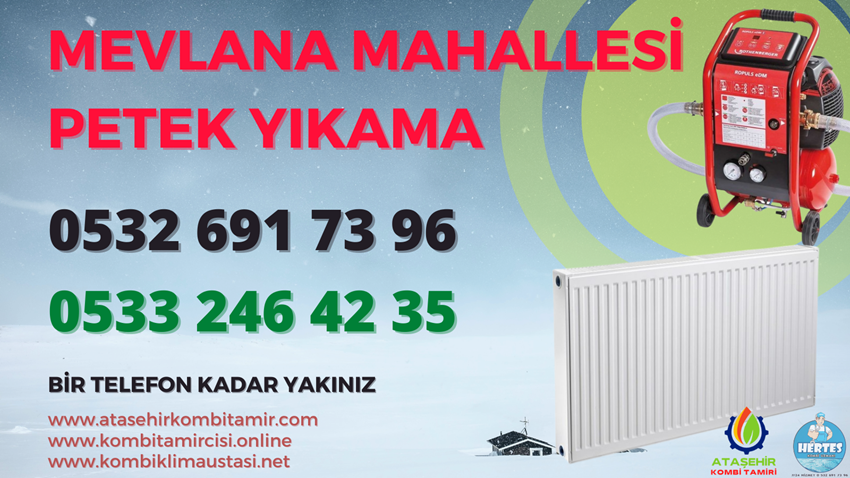 Mevlana Mahallesi Petek Yıkama - 0533 246 42 35