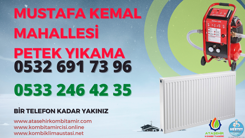 Mustafa Kemal Mahallesi Petek Yıkama - 0533 246 42 35