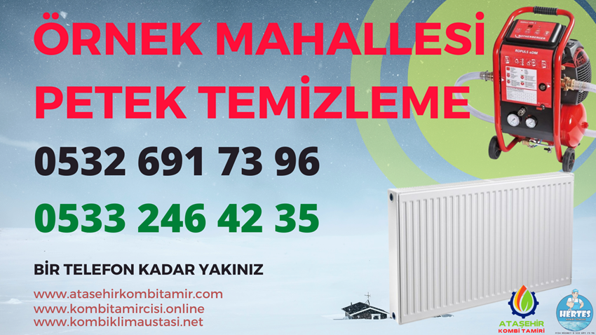 Örnek Mahallesi Petek Yıkama - 0 533 246 42 35